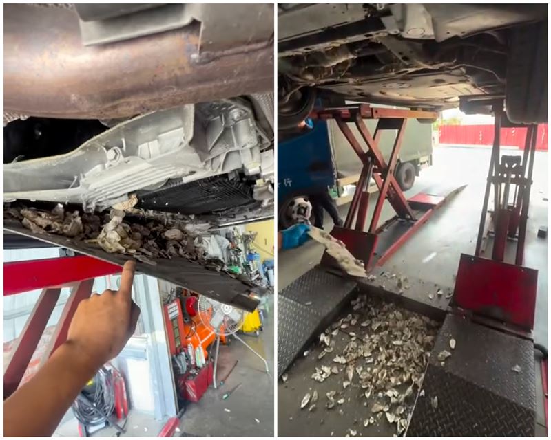 台南柳營修車廠處理到一輛客人的BMW,底盤打開牡蠣殼傾洩而出。(圖/翻攝自Threads @ _97012_)