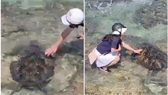 小琉球摸海龜！2美籍男女慘遭送辦