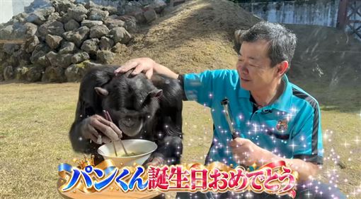 遭傳死亡　《狗狗猩猩大冒險》小龐近況曝