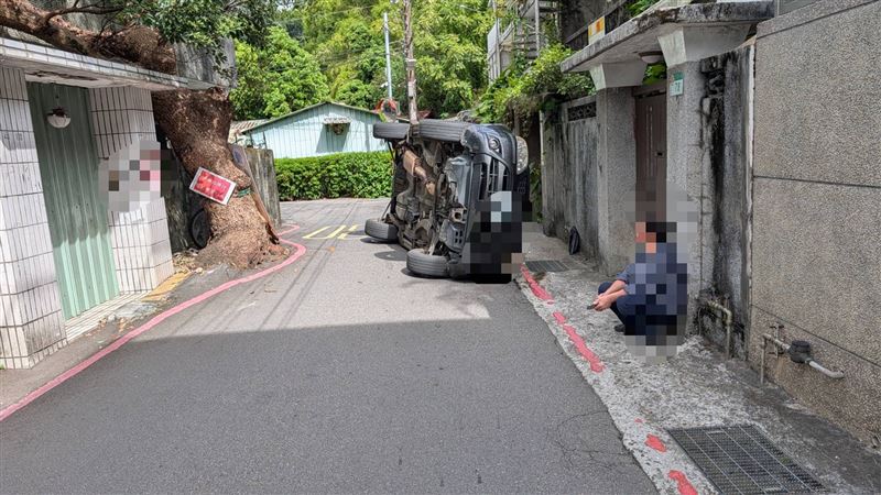 北市士林撞路樹側翻朝天！駕駛蹲路邊看傻