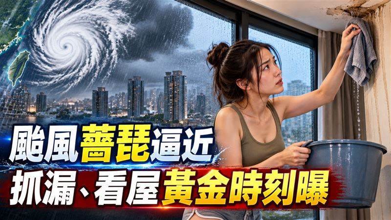 颱風薔琵逼近　防漏、看屋抓漏黃金時刻曝