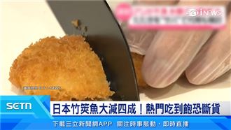 海水升溫！日秋季鮮魚暴減、餐廳改賣鯖魚