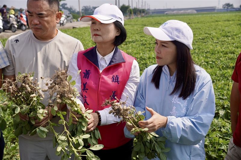 八月豪雨致雲林落花生延遲性災損,張嘉郡爭取全縣災損補助,張嘉郡今赴虎尾、土庫、北港勘災,籲救助從速、從寬、從簡