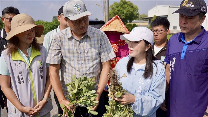 張嘉郡爭取補助　籲救助從速、從寬、從簡