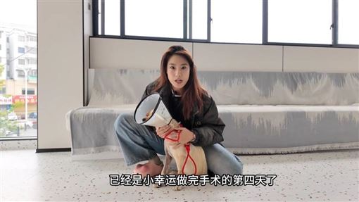 感染罕見真菌搶救不治　27歲寵物網紅病逝