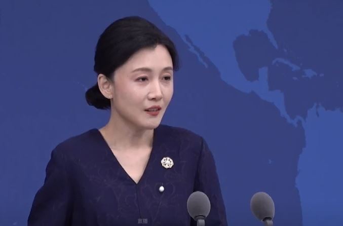 中國國台辦發言人張晗（圖／翻攝畫面）