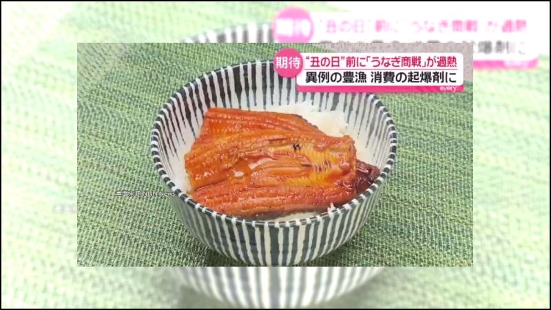 京都鰻魚名店爆造假　中國鰻冒充國產遭逮