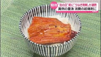 京都鰻魚名店爆造假　中國鰻冒充國產遭逮