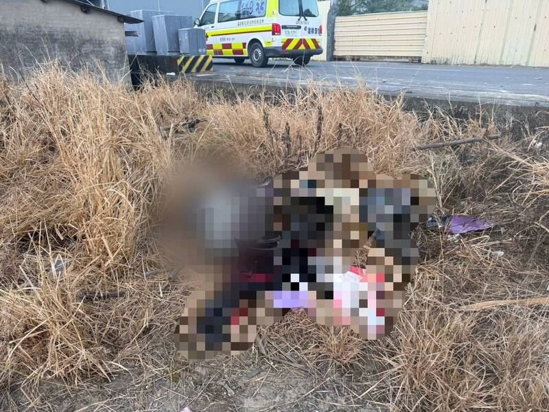 40歲騎士自撞電桿,受傷倒臥在草叢中死亡。(圖/翻攝畫面)
