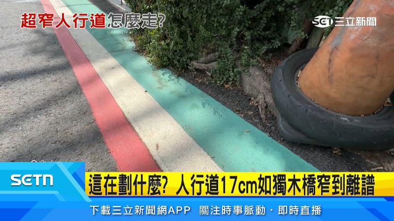 樹根占走大半人行道