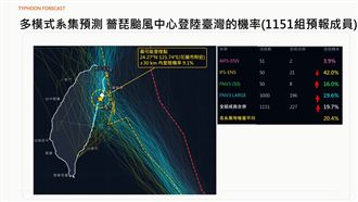躲不過?賈新興：薔琵颱風登陸機率升至20%
