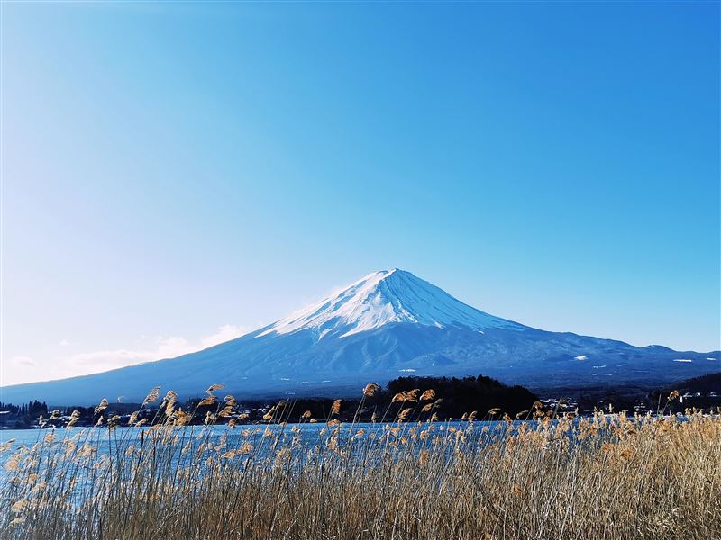 38歲井雲蓉跟團到日本旅遊，19日被發現陳屍在飯店床上，現場無打鬥痕跡，同團27歲楊閔涵同在房間內，坦承持有12公分菜刀，案情疑點重重。（示意圖／PIXABAY）