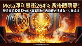 Meta淨利衝264%　阮慕驊點破「它」是隱憂