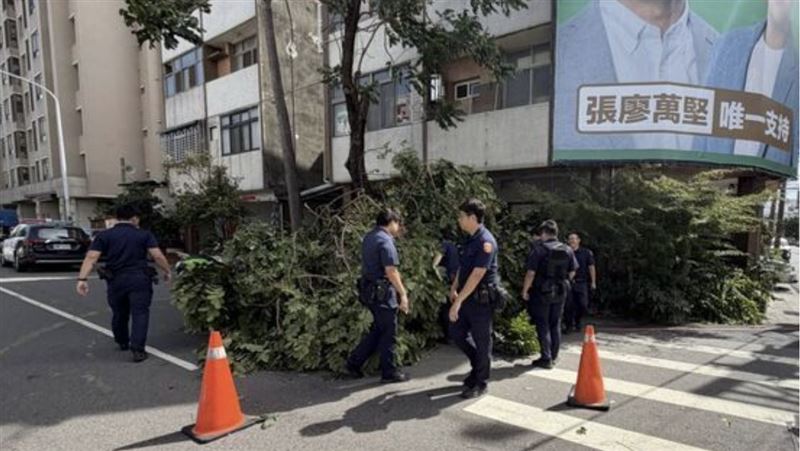 台中市西屯區有路樹倒塌。(圖/翻攝畫面)