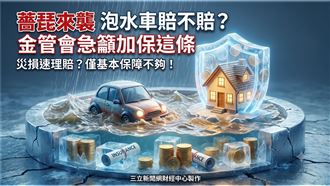 薔琵來襲　泡水車賠嗎？ 金管會籲保這條