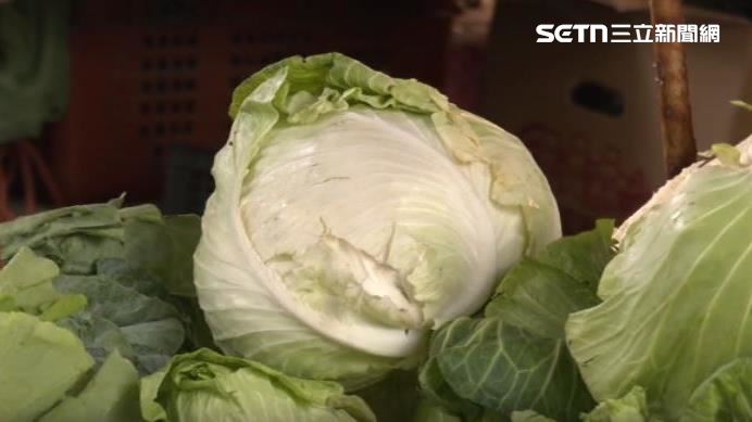 颱風葉菜漲兩倍　高麗菜單顆「近300元」