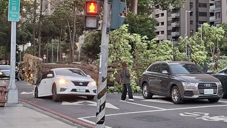 自小客車尾遭路樹砸中,造成車頭翹起,後座及車尾受損全毀。(圖/翻攝畫面)