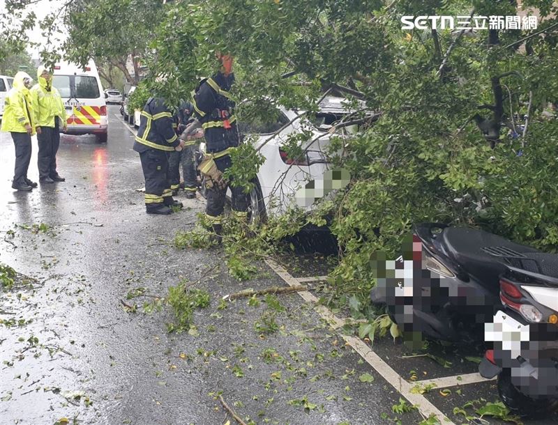 台北市興隆路四段58巷口發生路樹傾倒事件。（圖／翻攝畫面）