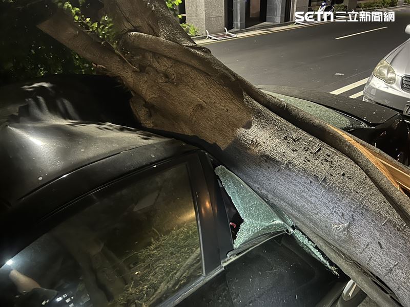 路樹於深夜無預警倒伏於車道上，當場重重壓毀停放於路旁的自小客車，龐大枝幹一度全面阻礙雙向通行。（圖／翻攝畫面）