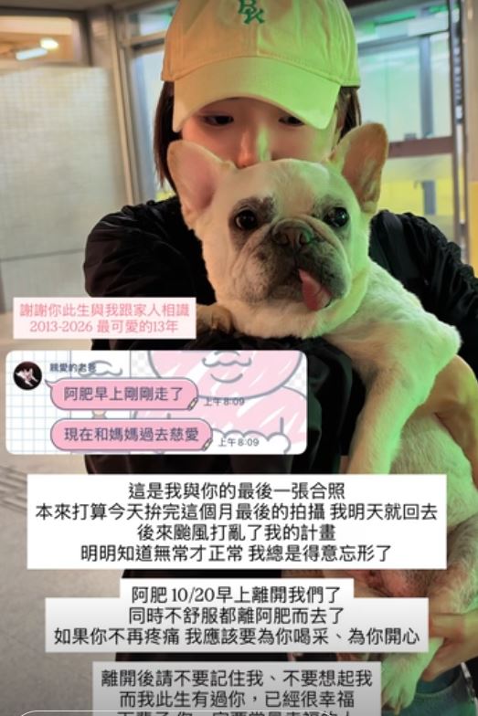 一隻阿圓趕不及返台見愛犬最後一面。(圖/翻攝自IG @nanaciaociao)