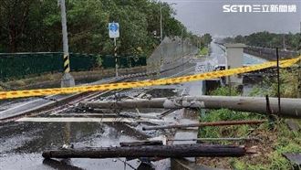 中颱薔琵來勢洶洶　大度路二段電線杆倒塌