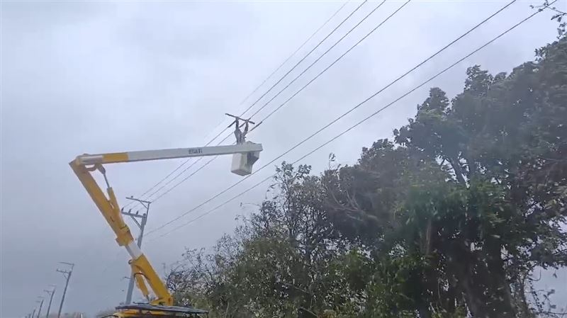 薔琵颱風12級強風吹倒路樹,造成台中多處停電,台電人員搶修中。(圖/台電提供)
