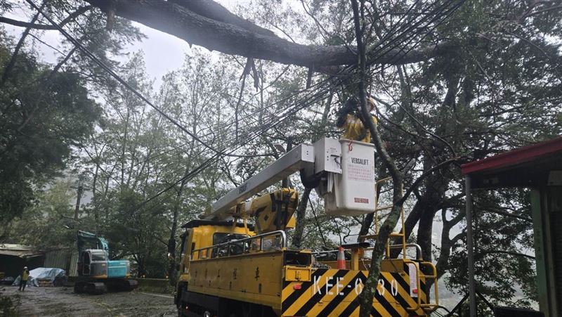 12級強風吹倒路樹！台中逾千戶停電搶修中