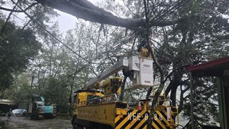 12級強風吹倒路樹！台中逾千戶停電搶修中