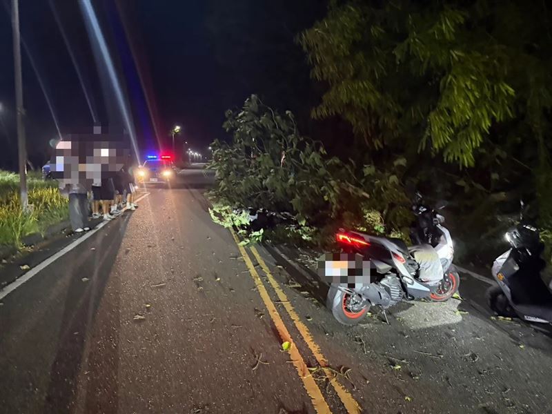 颱風薔琵來襲,花蓮2大學生騎乘機車撞倒臥路樹受傷。(圖/翻攝畫面)