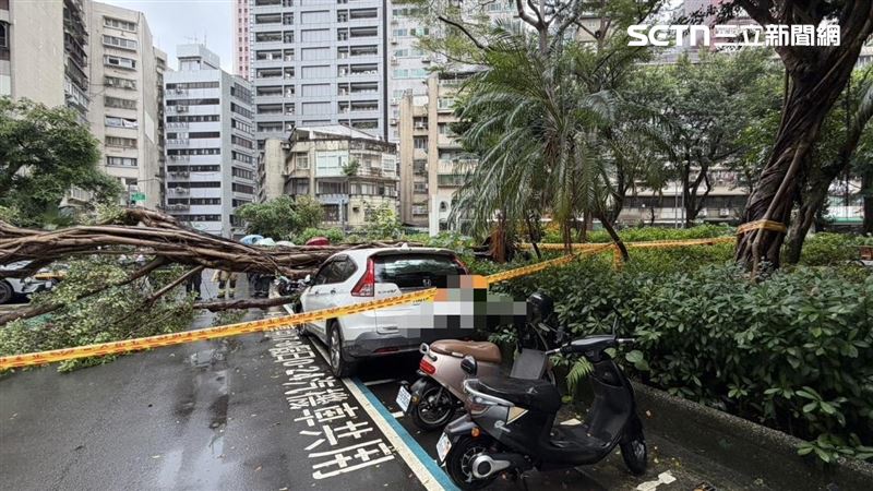 中颱薔琵來勢洶洶　北市9米路樹壓毀4轎車