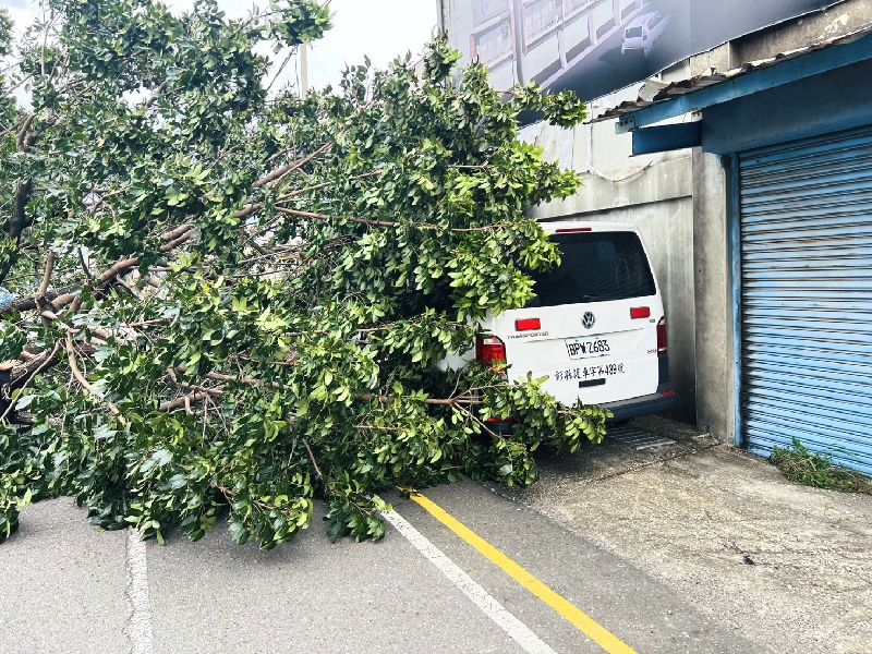 颱風薔琵來襲，彰化地區23日刮起強風，彰化縣災害應變中心統計，截至23日中午為止，因強風造成樹木倒塌、電線掉落等案已受理134件。圖為彰化市國聖里一棵樹木不敵強風倒塌，殃及一輛停放在路邊的救護車。（彰化市公所提供）