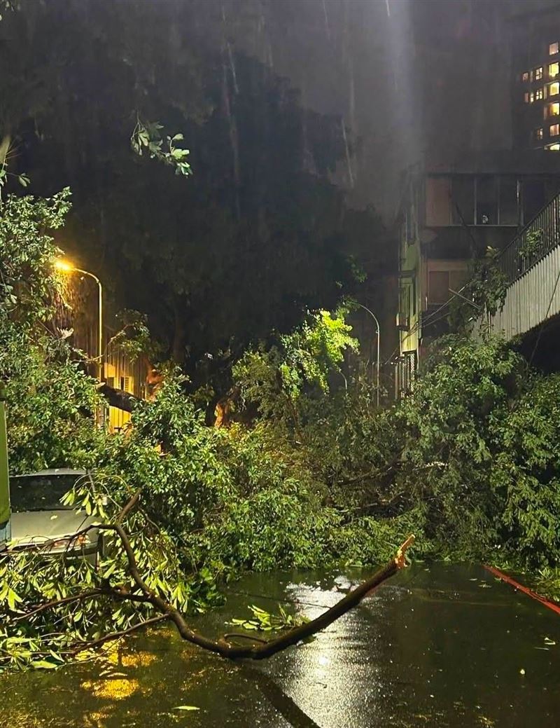 呂文婉日前深夜遭遇颱風夜驚魂,駕車行經環東大道下內湖交流道時,因前方大樹倒塌封死狹窄單線迴旋匝道而受困。(圖/翻攝自呂文婉get in TOUCH臉書)