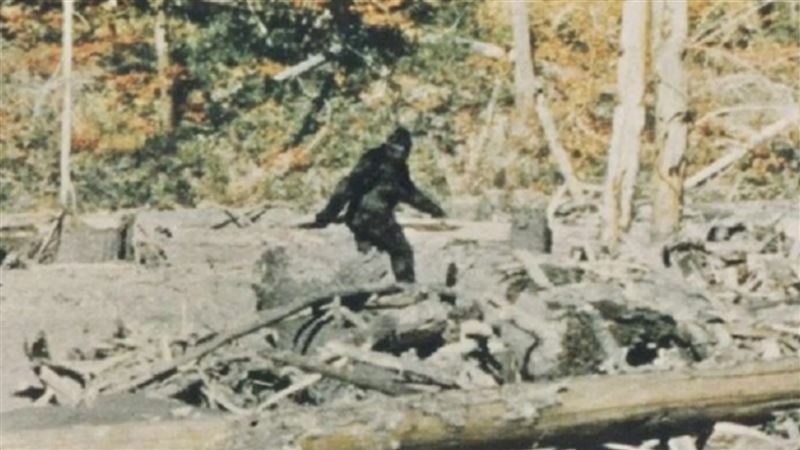 全球知名大腳怪畫面攏是假！他爆驚人內幕