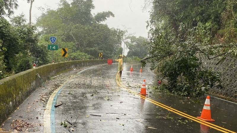 日月潭公路樹倒塌,經公路局搶通目前已恢復雙向正常通行。(圖/翻攝畫面)