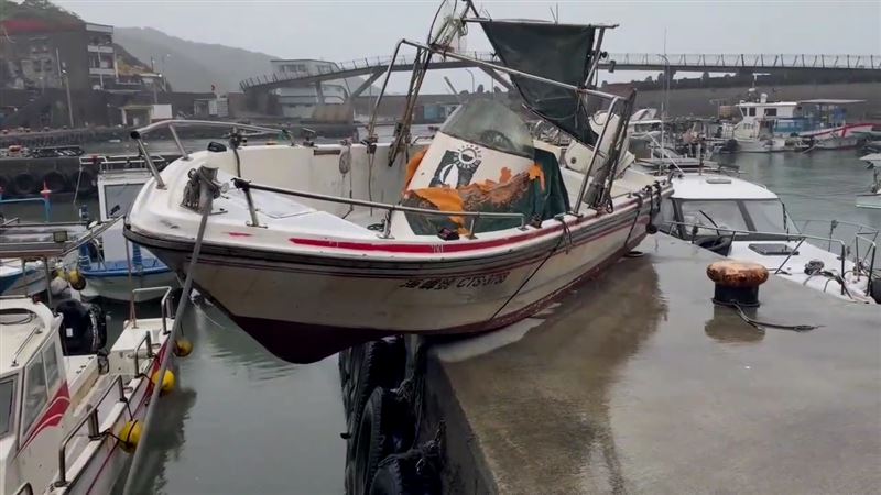 薔琵過境　望海巷漁港驚見海釣船「登陸」