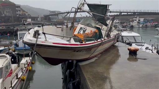 薔琵過境　望海巷漁港驚見海釣船「登陸」