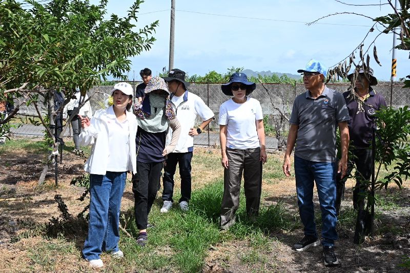 颱風薔琵造成台東農業災損,國民黨台東縣長參選人吳秀華(前左)等人24日一同前往釋迦園勘災。 (吳秀華服務處提供)