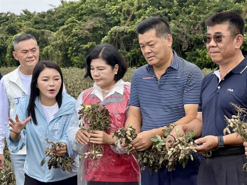 薔琵颱風重創雲林農作物,立委張嘉郡承諾會努力爭取全品項天然災害救助。(圖/翻攝畫面)