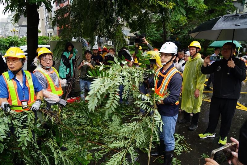 柳采葳對此表示,當下狀況是現場的隊長問市長要不要跟基層一起幫忙搬樹,市長當然一口答應,這就是基層互助。「我倒想問問,今天如果換成沈伯洋到現場,第一線隊長請他一起搬樹枝,他會拒絕嗎?」(圖/翻攝自柳采葳臉書)