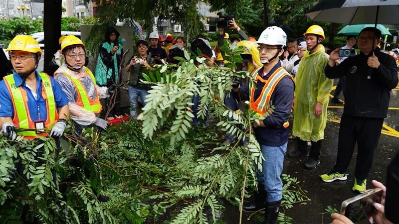 蔣萬安撿樹枝惹議！美女議員問沈伯洋這句