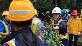 問A答B到撿樹枝　蔣萬安形象爭議繼續串連