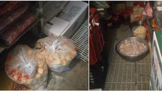 北市知名湯包店「老鼠亂竄」？衛生局回應