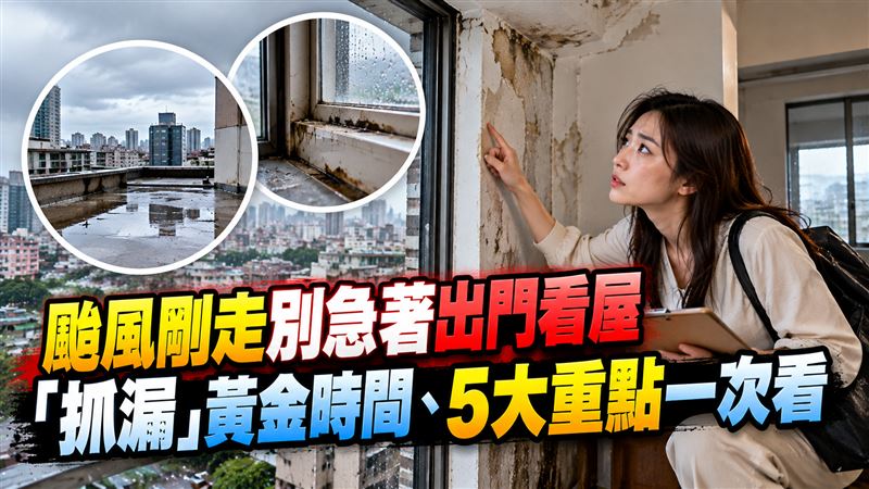颱風後別急著出門　看屋抓漏水黃金時間曝