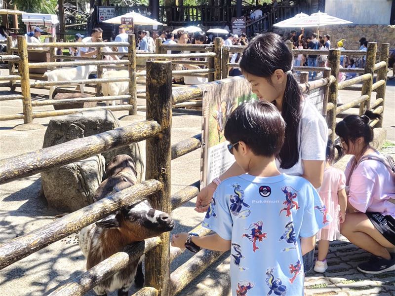 六福村主題遊樂園今(25)日宣布,園區未受颱風影響,10月25日、26日均照常營業。(圖/六福村提供)
