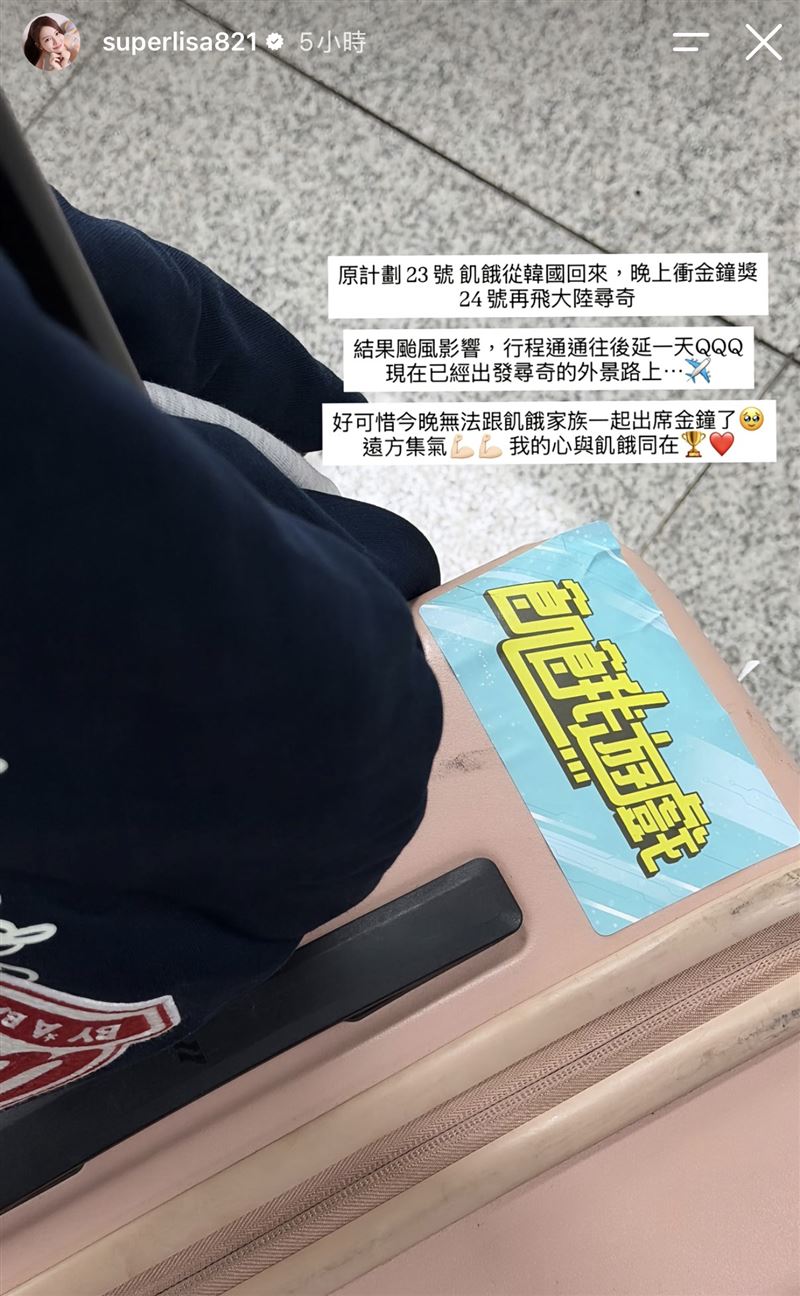 林莎確定缺席金鐘。（圖／翻攝自IG）