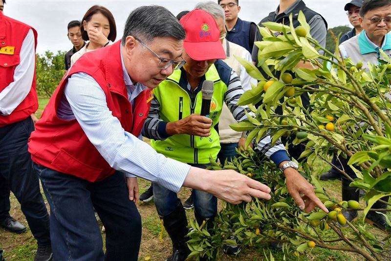 卓榮泰勘查宜蘭農損情形。(圖/行政院提供)