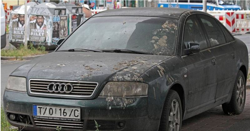 鳥屎不只傷車漆還藏健康危機!男清理愛車竟染肺炎。醫示警:乾掉更危險。(示意圖/Pixabay)