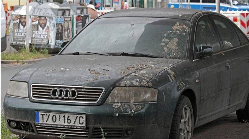 鳥屎不只傷車漆！男清理愛車竟染肺炎