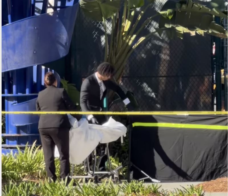 美國加州迪士尼樂園度假區入口處週日驚現一具男屍，嚇壞遊客。（翻攝自IG＠california_chisme）