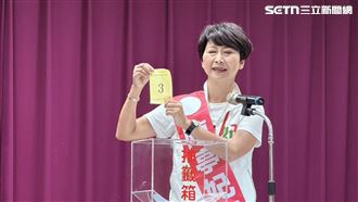 新／南市號次出爐！謝龍介2號、陳亭妃3號
